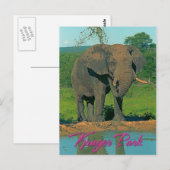 Kruger park in Zuid-Afrika Briefkaart (Voorkant / Achterkant)