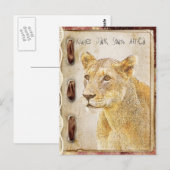 Kruger park in Zuid-Afrika Briefkaart (Voorkant / Achterkant)