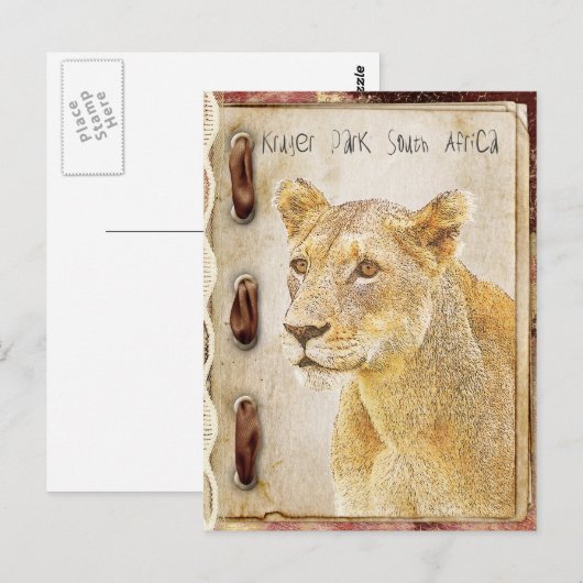 Kruger park in Zuid-Afrika Briefkaart (Voorkant / Achterkant)