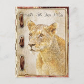 Kruger park in Zuid-Afrika Briefkaart (Voorkant)