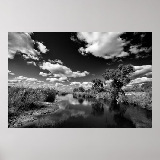 Kruger Quiescence Poster (Voorkant)