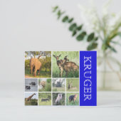 kruger safari briefkaart (Staand voorkant)