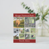 kruger wildlife briefkaart (Staand voorkant)