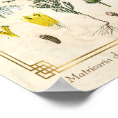 kruid Chamomile Flower Botanical Poster (Hoek)