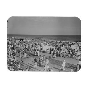 Kruid op strand magneet