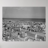 Kruid op strand poster (Voorkant)