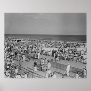 Kruid op strand poster