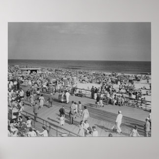 Kruid op strand poster