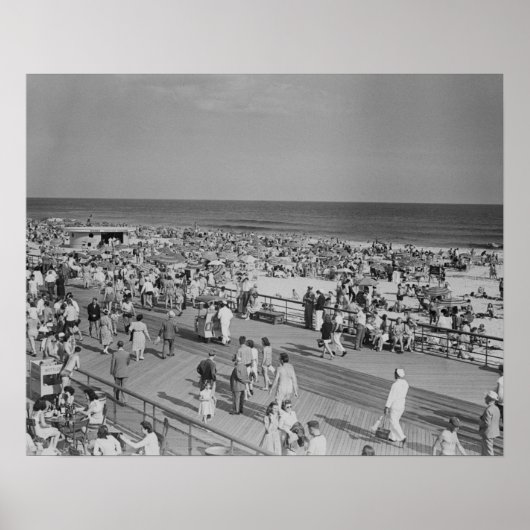 Kruid op strand poster (Voorkant)