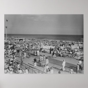 Kruid op strand poster