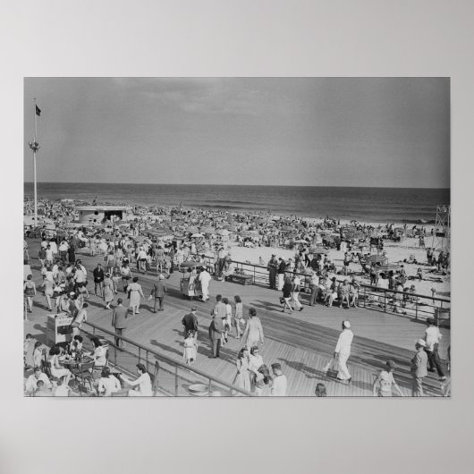 Kruid op strand poster (Voorkant)