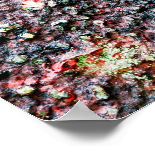 kruidbraam poster (Hoek)