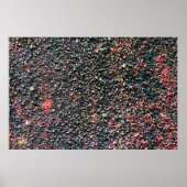 kruidbraam poster (Voorkant)