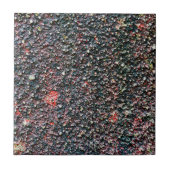 kruidbraam tegeltje (Voorkant)