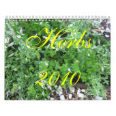 Kruiden    2010 kalender (Hoes)