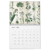 KRUIDEN EN BOTANICALS, middeleeuwse  Kalender (Mar 2026)