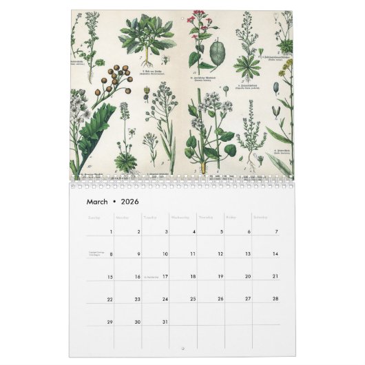 KRUIDEN EN BOTANICALS, middeleeuwse  Kalender (Mar 2026)