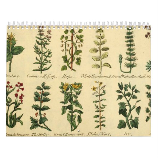 KRUIDEN EN BOTANICALS, middeleeuwse Kalender (Hoes)