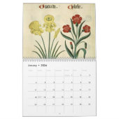 KRUIDEN EN BOTANICALS, middeleeuwse  Kalender (Jan 2026)