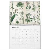 KRUIDEN EN BOTANICALS, middeleeuwse Kalender (Mar 2027)