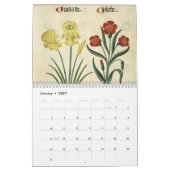 KRUIDEN EN BOTANICALS, middeleeuwse Kalender (Jan 2027)