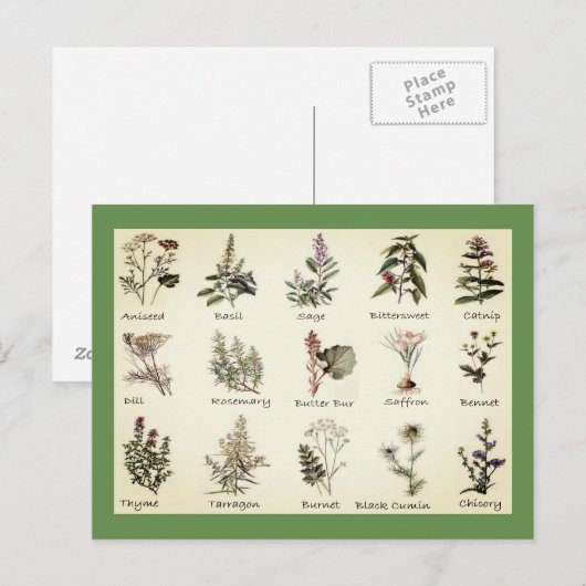 Kruiden en specerijen, briefkaart met volledige kl (Voorkant / Achterkant)