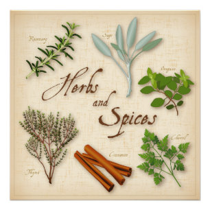 Kruiden en specerijen, Rosemary, Sage, Thyme, Cinn Poster
