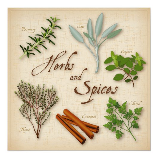Kruiden en specerijen, Rosemary, Sage, Thyme, Cinn Poster (Voorkant)