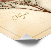Kruiden en specerijen, Rosemary, Sage, Thyme, Cinn Poster (Hoek)