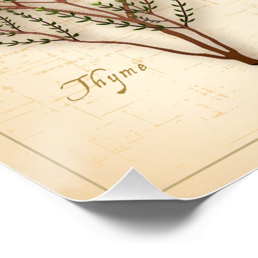 Kruiden en specerijen, Rosemary, Sage, Thyme, Cinn Poster (Hoek)