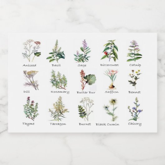 Kruiden en specerijen voedselcontainer etiket (Enkel label)