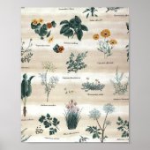Kruiden Planten Flowers Poster (Voorkant)