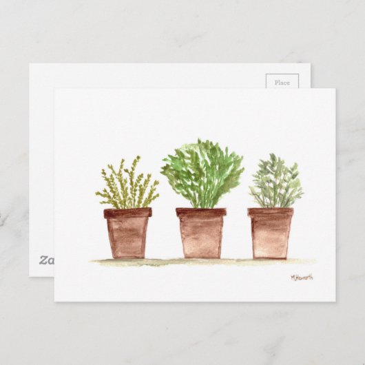 Kruiden, sage, rozemarijn, tijm briefkaart (Voorkant / Achterkant)