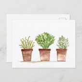 Kruiden salie, rozemarijn, tijm tuin briefkaart (Voorkant / Achterkant)