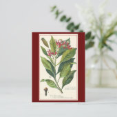  kruiden specerijen, handschoenen, Plant Briefkaart (Staand voorkant)