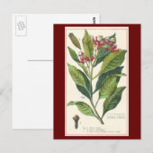  kruiden specerijen, handschoenen, Plant Briefkaart (Voorkant / Achterkant)