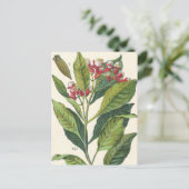  kruiden specerijen, handschoenen, Plant Briefkaart (Staand voorkant)