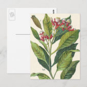 kruiden specerijen, handschoenen, Plant Briefkaart (Voorkant / Achterkant)