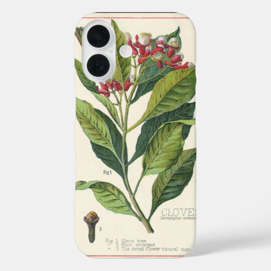  kruiden specerijen, handschoenen, Plant Case-Mate iPhone Case (Achterkant)