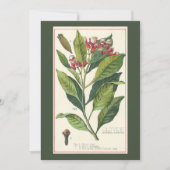  kruiden specerijen, handschoenen, Plant Kaart (Voorkant)