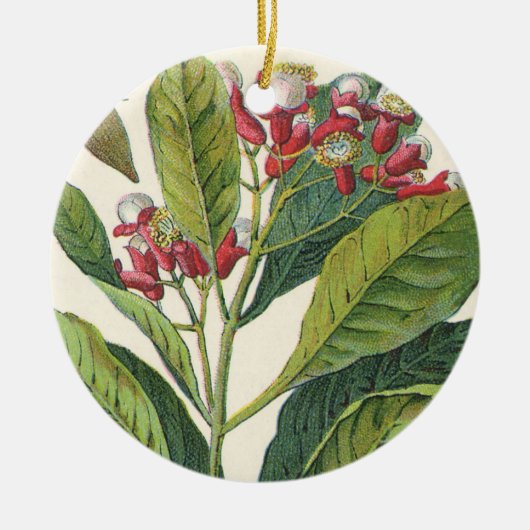  kruiden specerijen, handschoenen, Plant Keramisch Ornament (Voorkant)