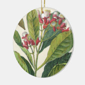  kruiden specerijen, handschoenen, Plant Keramisch Ornament (Links)