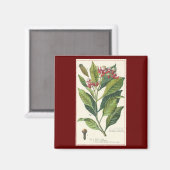 kruiden specerijen, handschoenen, Plant Magneet (Voorkant / Achterkant)