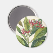  kruiden specerijen, handschoenen, Plant Magneet (Voorkant / Achterkant)