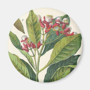 kruiden specerijen, handschoenen, Plant Magneet