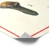  kruiden specerijen, handschoenen, Plant Poster (Hoek)