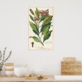  kruiden specerijen, handschoenen, Plant Poster (Keuken)