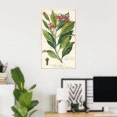  kruiden specerijen, handschoenen, Plant Poster (Thuiskantoor)