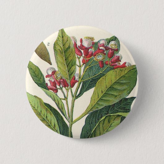  kruiden specerijen, handschoenen, Plant Ronde Button 5,7 Cm (Voorkant)