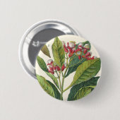  kruiden specerijen, handschoenen, Plant Ronde Button 5,7 Cm (Voorkant /achterkant)